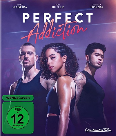 Perfect Addiction Cover